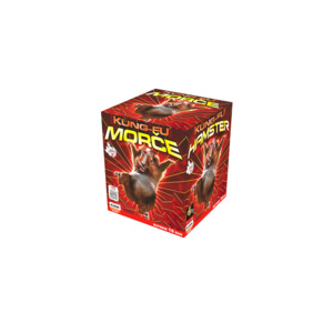 foto - Kung-fu morče 16 ran