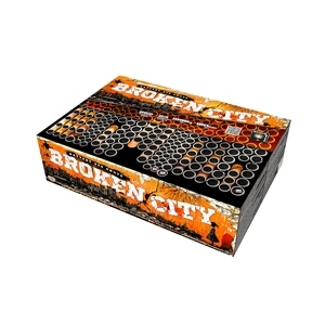 foto - Broken city