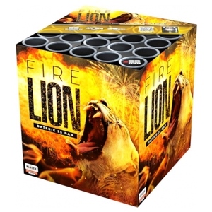 foto - The Fire Lion