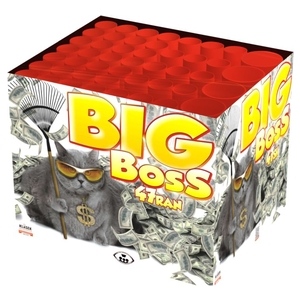 foto - Big Boss