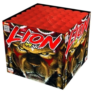 foto - Lion